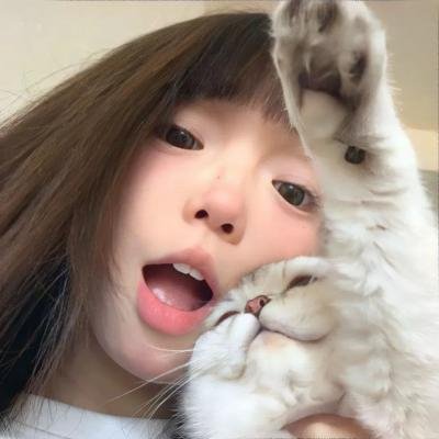 第一企鹅!